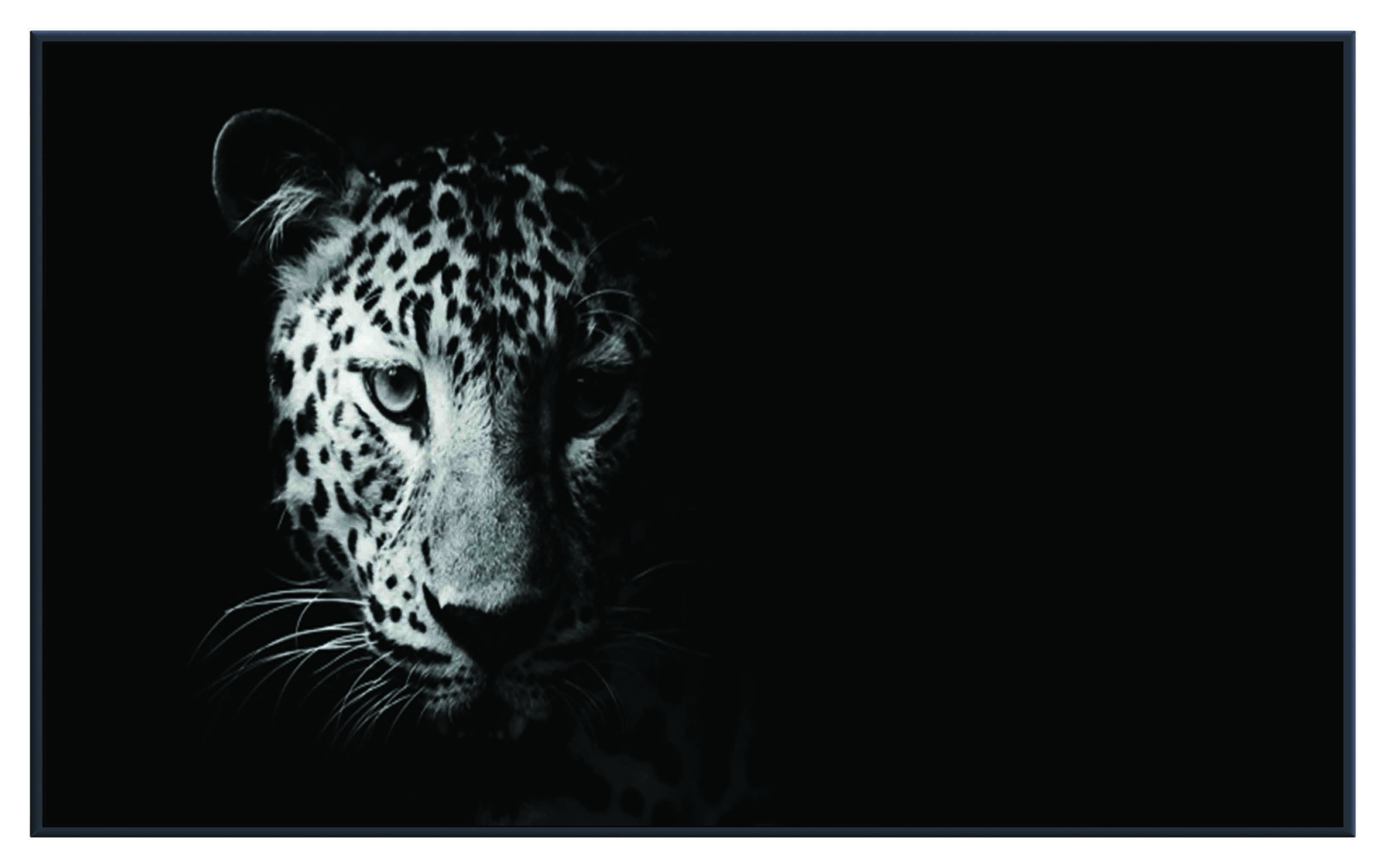 ASG210 Wall décor art printed on glass B&W leopard